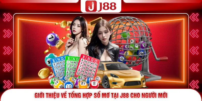 Giới thiệu về tổng hợp sổ mơ tại J88 cho người mới